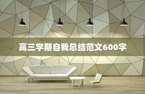 高三学期自我总结范文600字