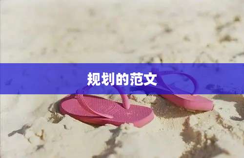 规划的范文
