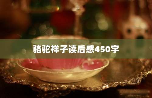 骆驼祥子读后感450字