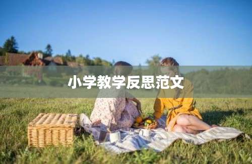 小学教学反思范文