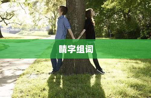 睛字组词
