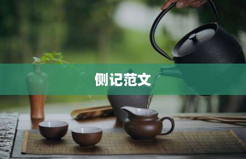 侧记范文