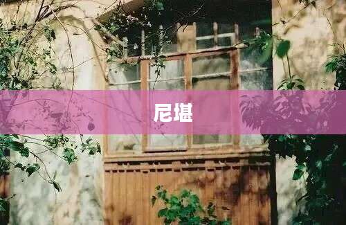 尼堪
