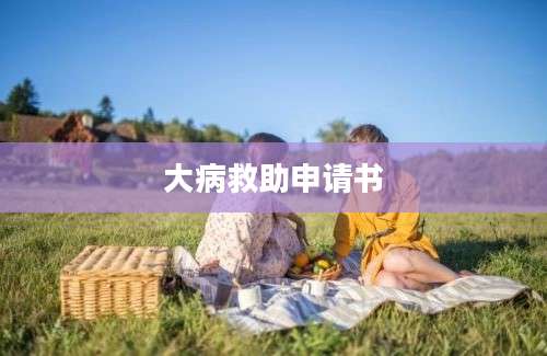 大病救助申请书