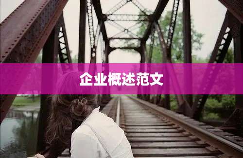 企业概述范文