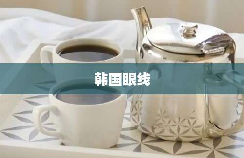 韩国眼线