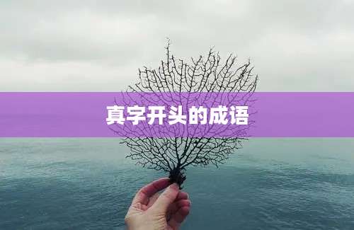 真字开头的成语