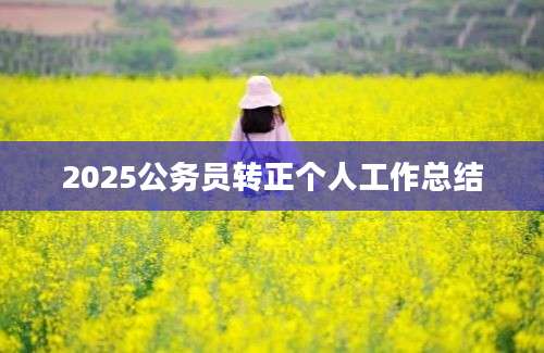 2025公务员转正个人工作总结