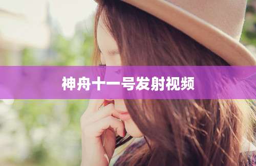 神舟十一号发射视频