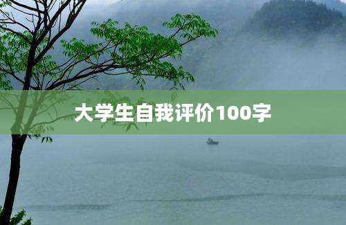 大学生自我评价100字