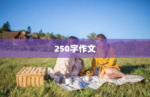 250字作文