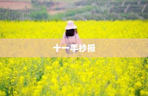 十一手抄报