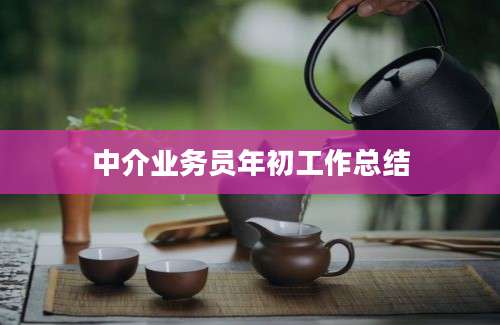 中介业务员年初工作总结