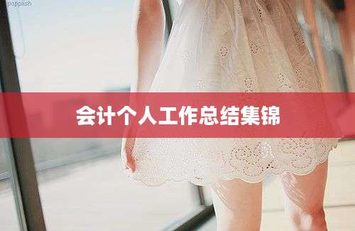 会计个人工作总结集锦