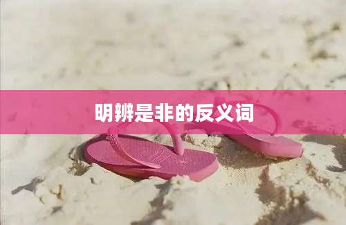 明辨是非的反义词