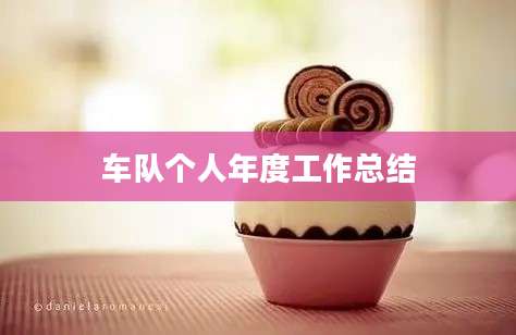 车队个人年度工作总结
