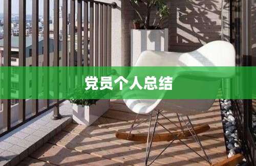 党员个人总结