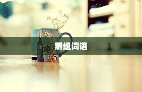 瓣组词语
