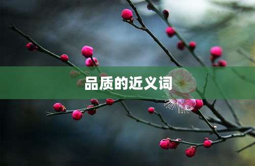 品质的近义词