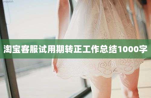 淘宝客服试用期转正工作总结1000字