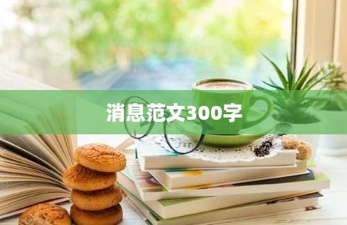 消息范文300字