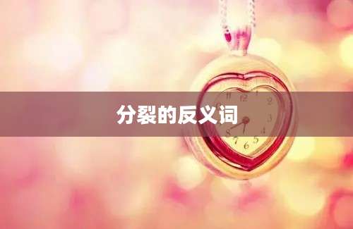 分裂的反义词