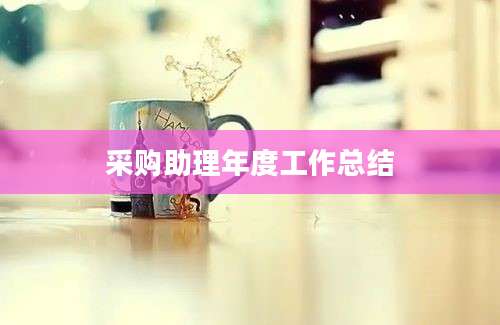 采购助理年度工作总结