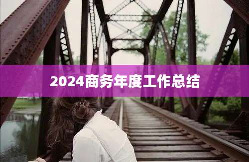 2024商务年度工作总结