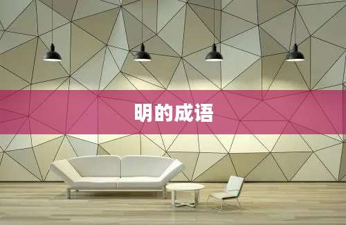 明的成语