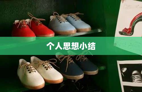 个人思想小结