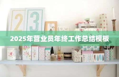 2025年营业员年终工作总结模板