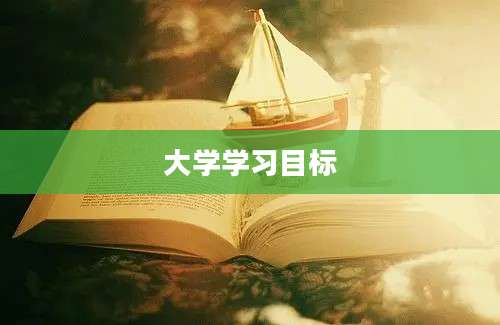 大学学习目标