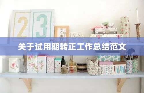 关于试用期转正工作总结范文