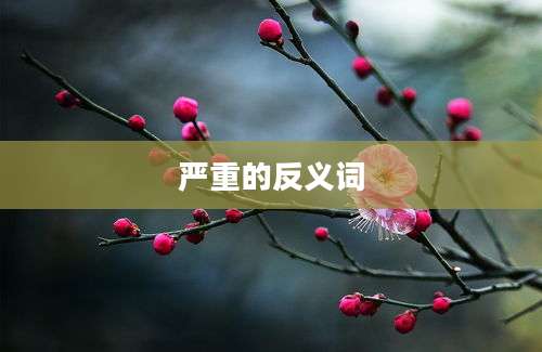 严重的反义词