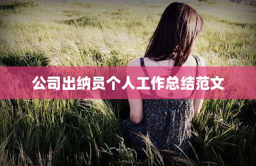 公司出纳员个人工作总结范文