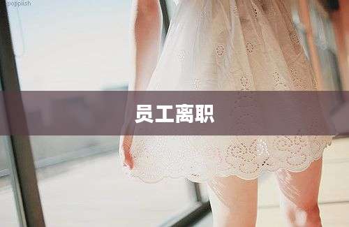 员工离职