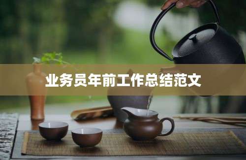 业务员年前工作总结范文