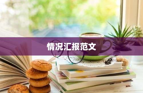 情况汇报范文