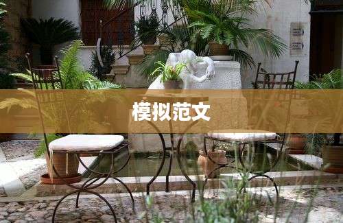 模拟范文