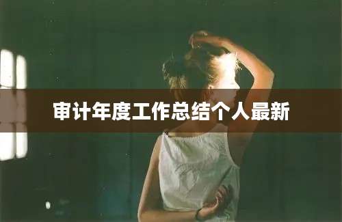 审计年度工作总结个人最新