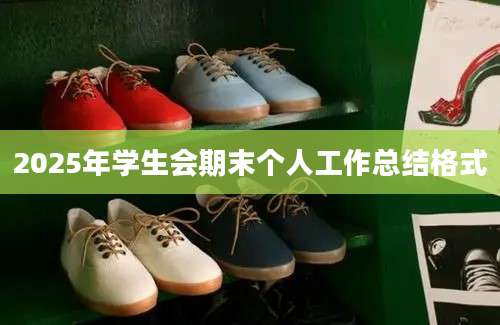 2025年学生会期末个人工作总结格式