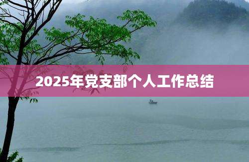 2025年党支部个人工作总结