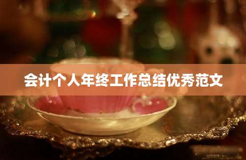 会计个人年终工作总结优秀范文