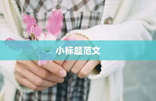 小标题范文