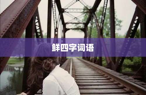 鲜四字词语