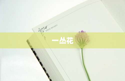 一丛花
