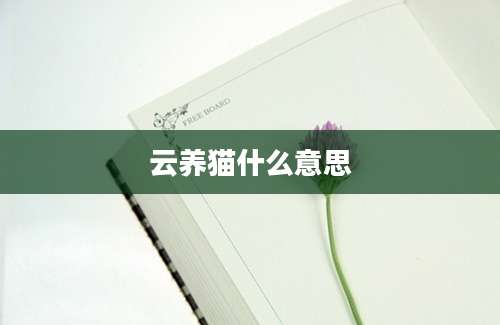云养猫什么意思