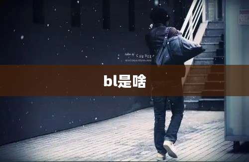 bl是啥