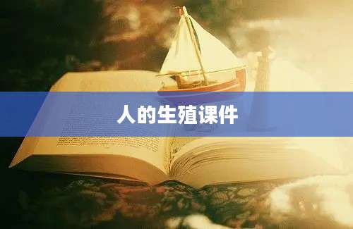 人的生殖课件