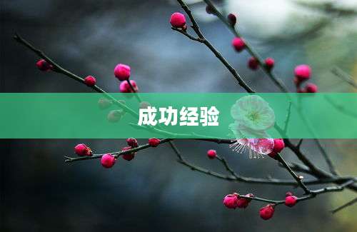 成功经验